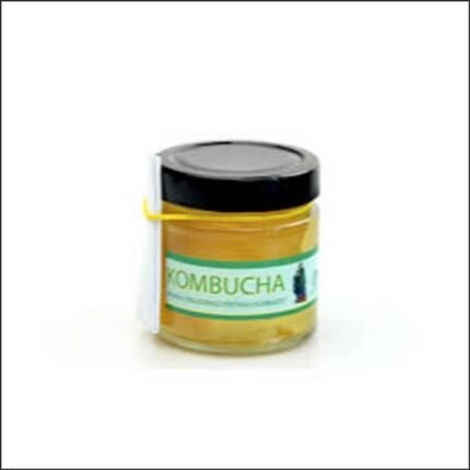 Digestive discomfort and imbalance – Kombucha Stevikom 150 g