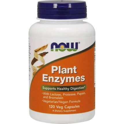 Plant-based digestive enzyme support — Now Foods Enzymes Plant